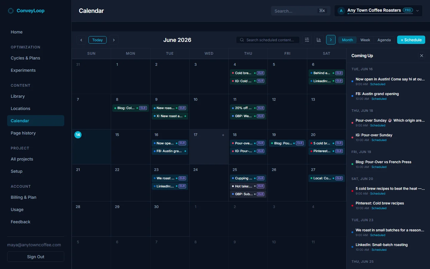 The content calendar with social posts and SEO content scheduled across the month.